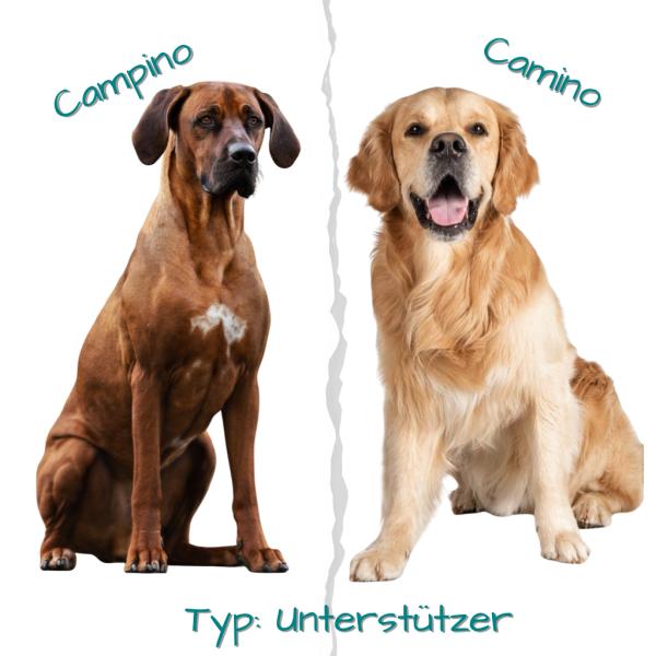 HSS-Begegnung spezial: Visionäre