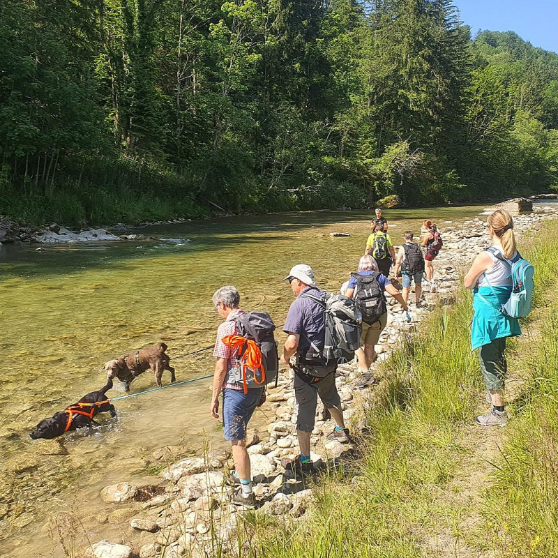 Pfotenchaoten Nature Walk