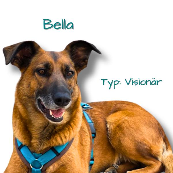 HSS-Begegnung spezial: Unterstützer & Botschafter