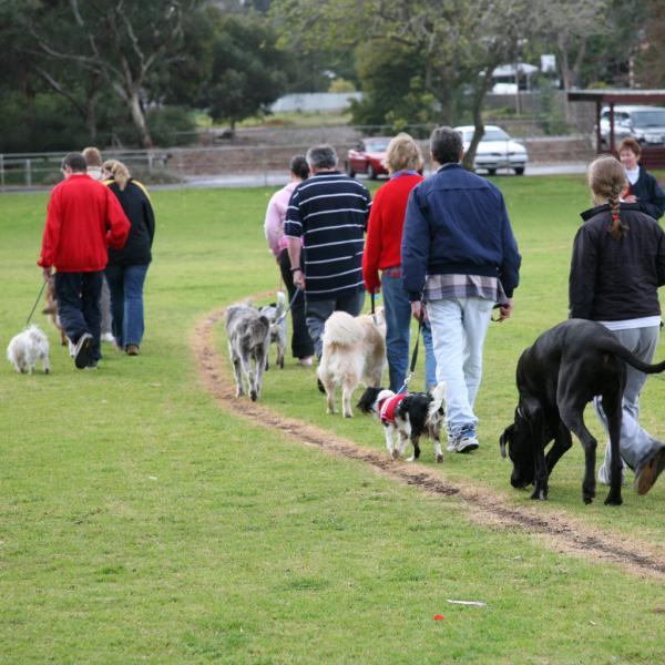 Social Walk – gemeinsam unterwegs