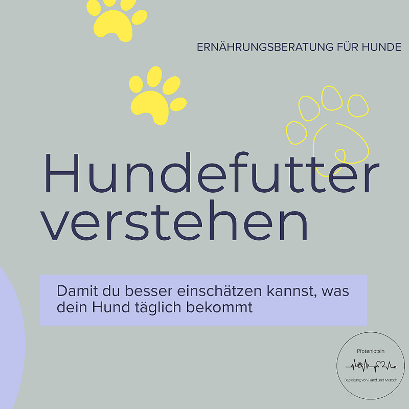 Online-Vortrag: Hundefutter verstehen (Aufzeichnung)