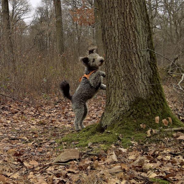 Weihnachtsspaziergang