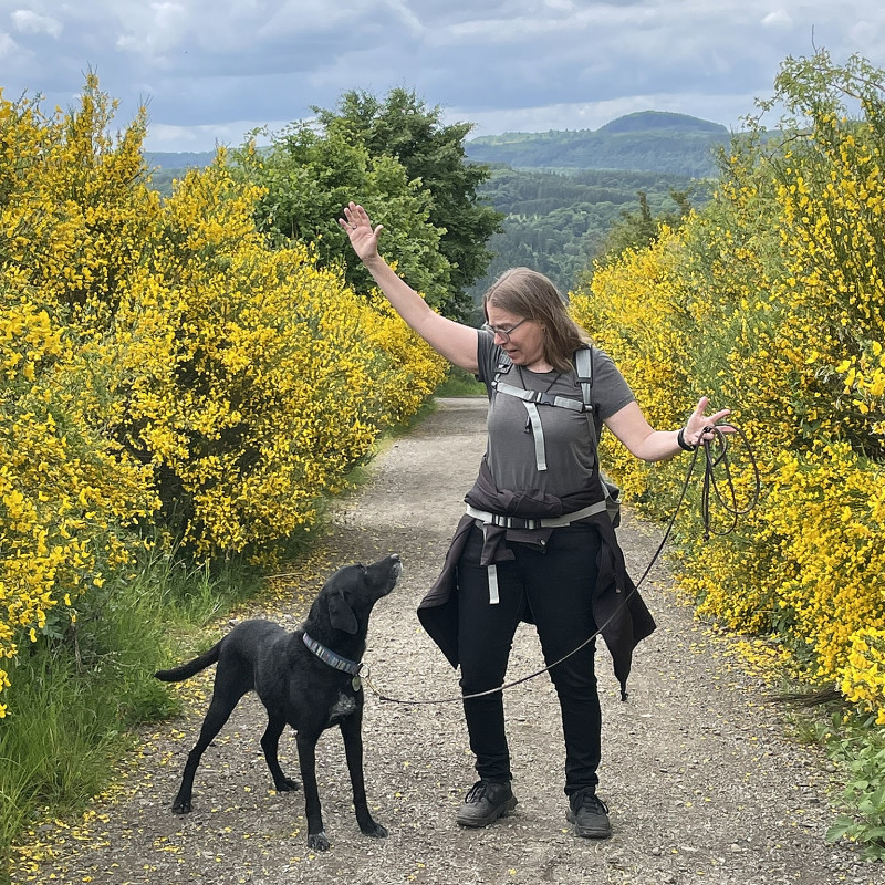 Hundeurlaub in der Eifel – Zeit für dich und deinen Hund
