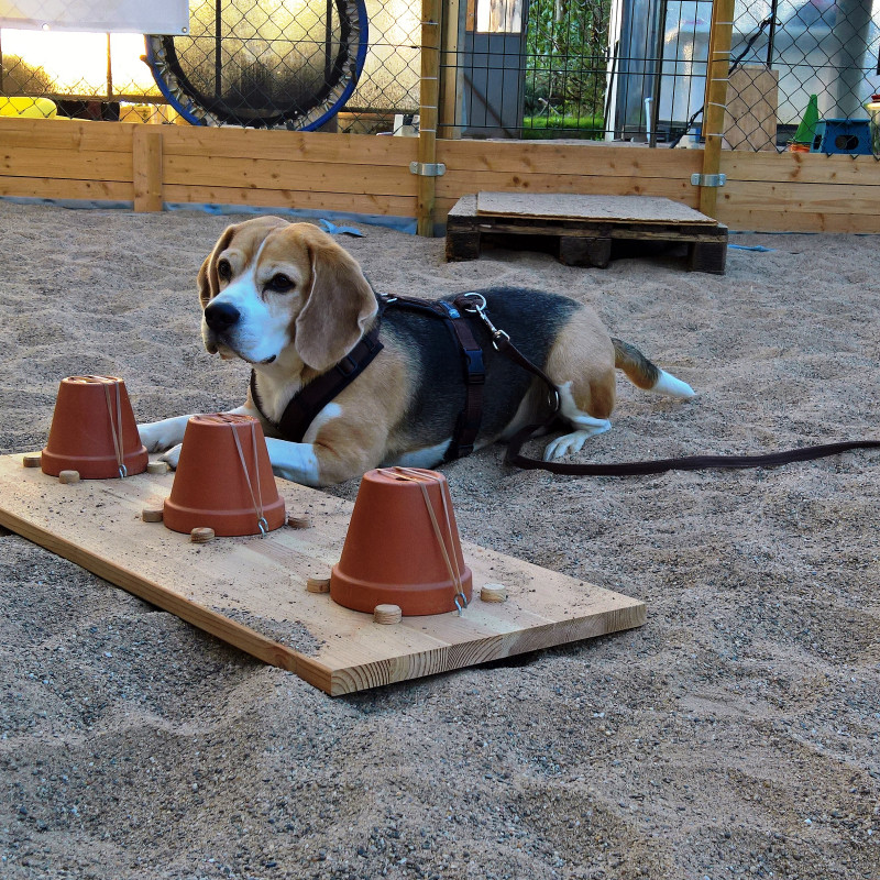 Die Kunst des feinen Suchens 2