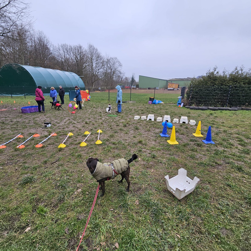 Alltagstraining Di 17.15 Uhr