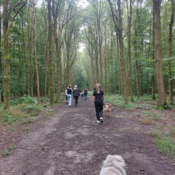 Social Walk