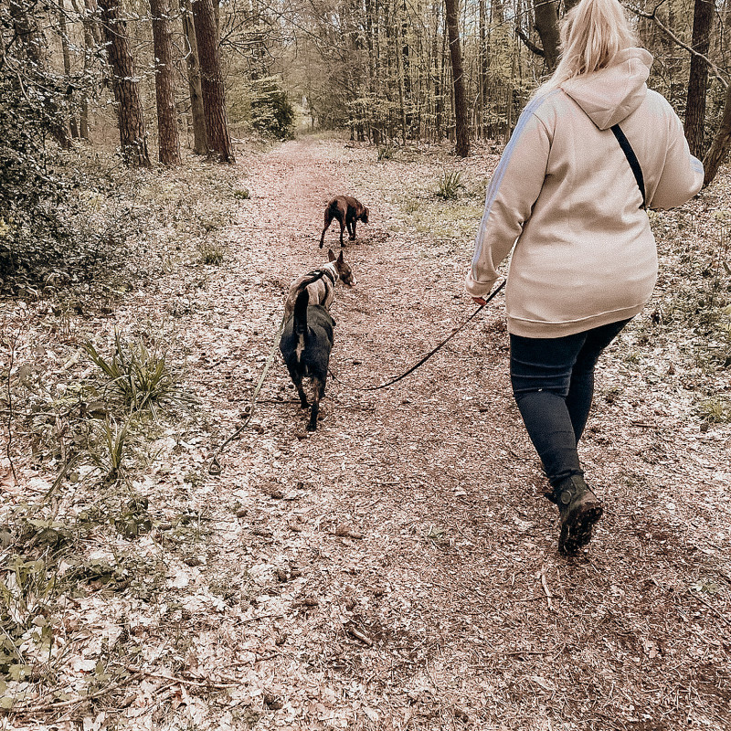 Begegnungstraining Basiskurs