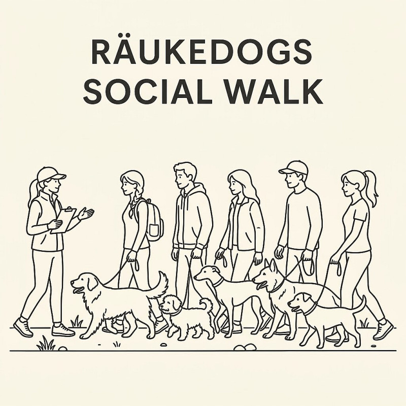 Social Walk