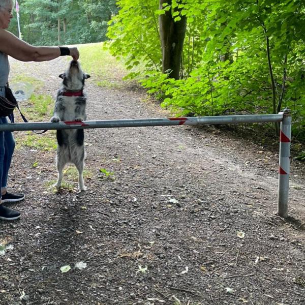 Fit und Fun mit Trudi - Wohlfühlprogramm und Physiowalk