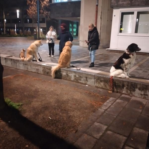 Alltagshelden Montag