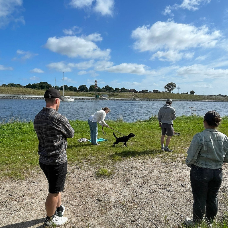 WelpenKnigge Start: Mitte APRIL