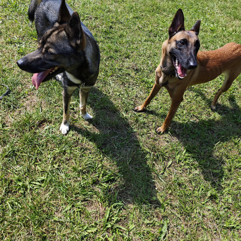 Social Walk - "Zusammen-Wachsen"
