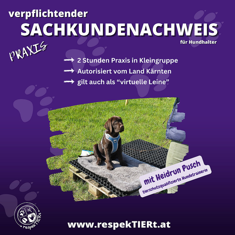 verpflichtender Sachkundenachweis Praxis 17.10.2026