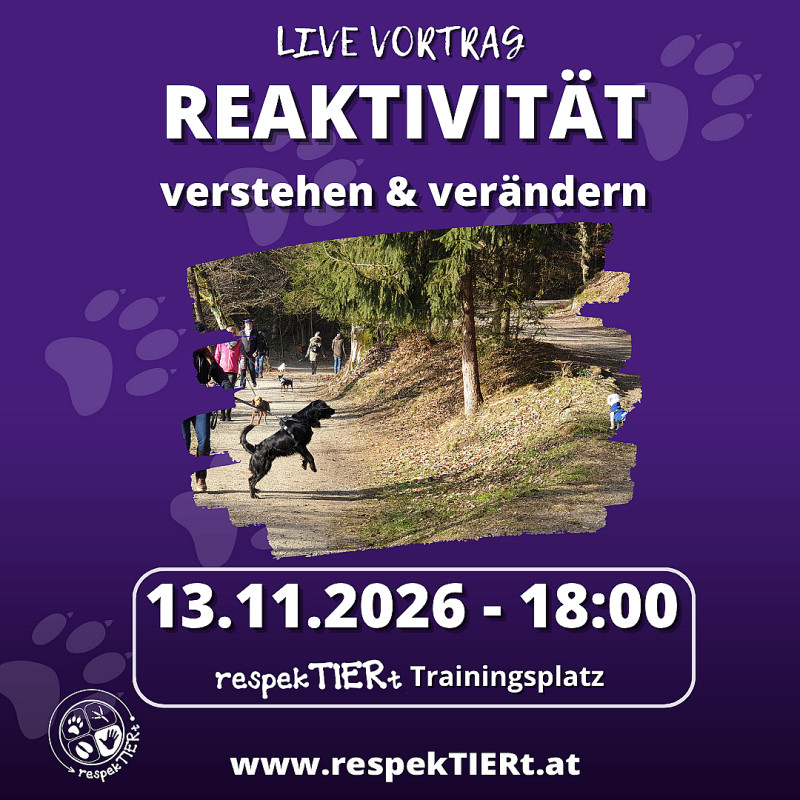 Reaktivität verstehen & verändern - LIVE Vortrag