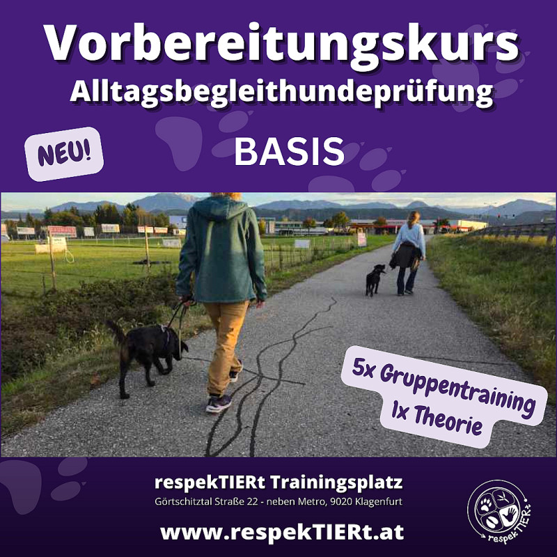 BASIS Vorbereitungskurs VÖHT Alltagsbegleithundeprüfung Maikurs