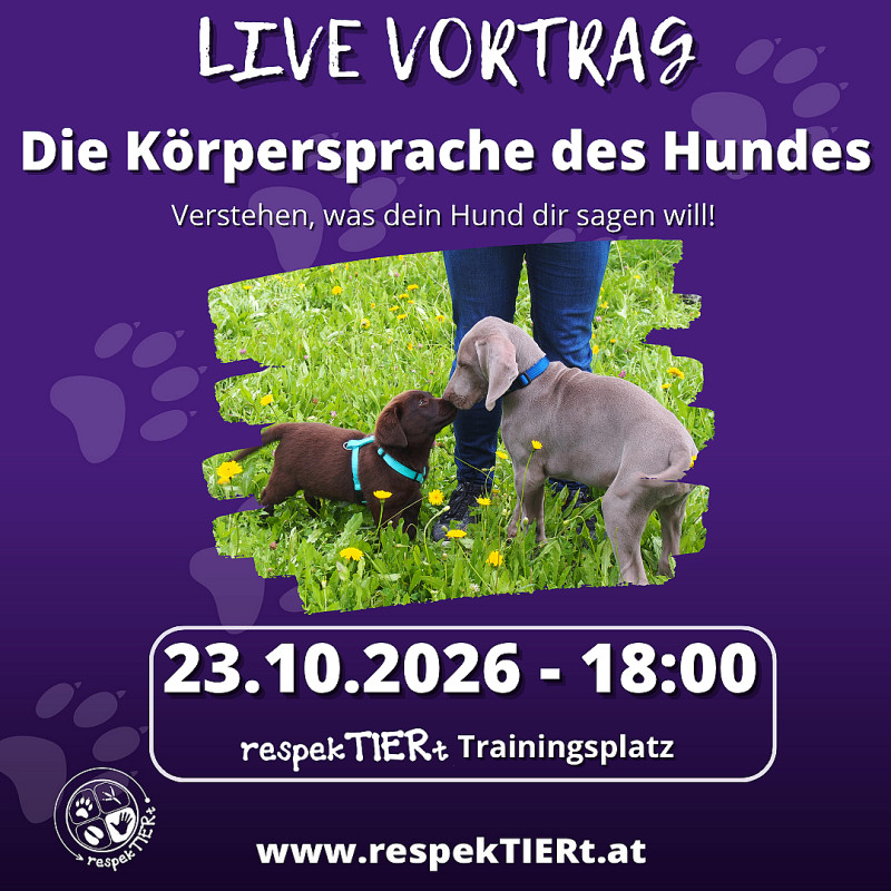 Die Körpersprache des Hundes - LIVE Vortrag