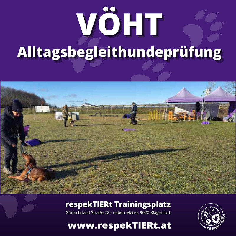 VÖHT Alltagsbegleithunde Prüfung 03.07.