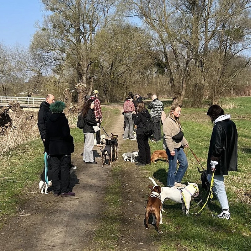 Social Walk
