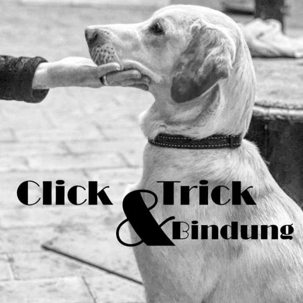 Click - Trick & Bindung