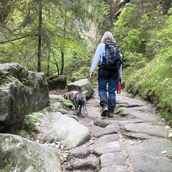 Wanderreise Tschechien - Tour II: Jetřichovice