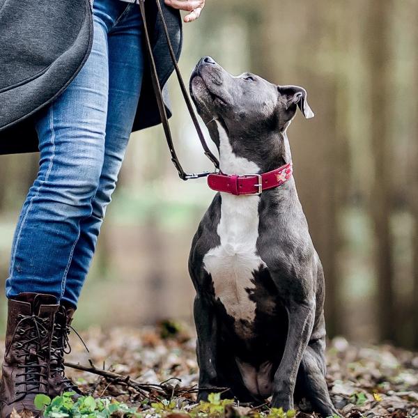 Orientierung schafft (Ver)Bindung