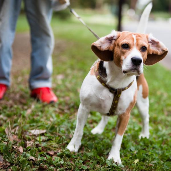 Begegnungstraining - Gelassenheit statt Reaktion