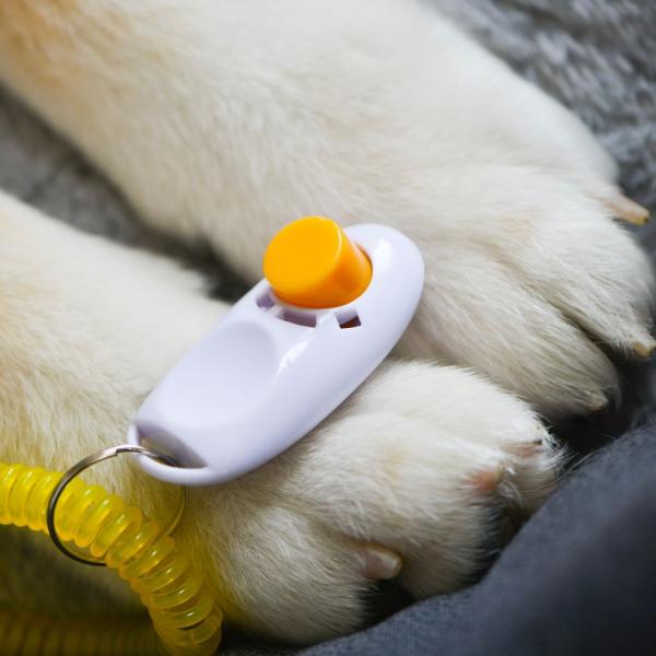 Workshop: Der Trick mit dem Click - Thema: Freeshaping