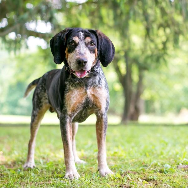 Workshop: Distanzarbeit  - ein sicheres Stopp auch aus der Ferne