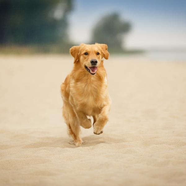 Intensivtraining Abruf 1