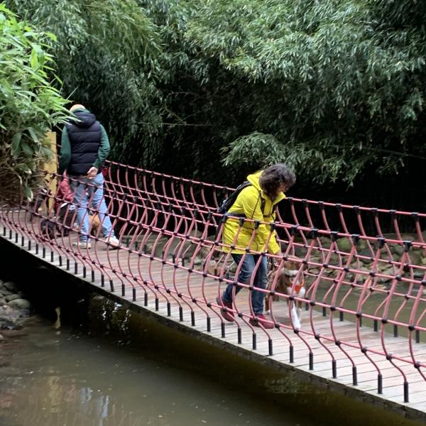 Lernspaziergang mit Hund durch den Wildpark Schwarze Berge