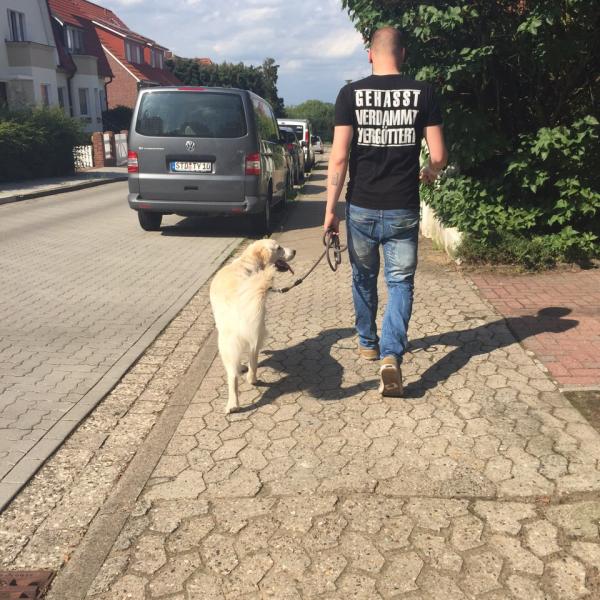 Lernspaziergang in Harsefeld