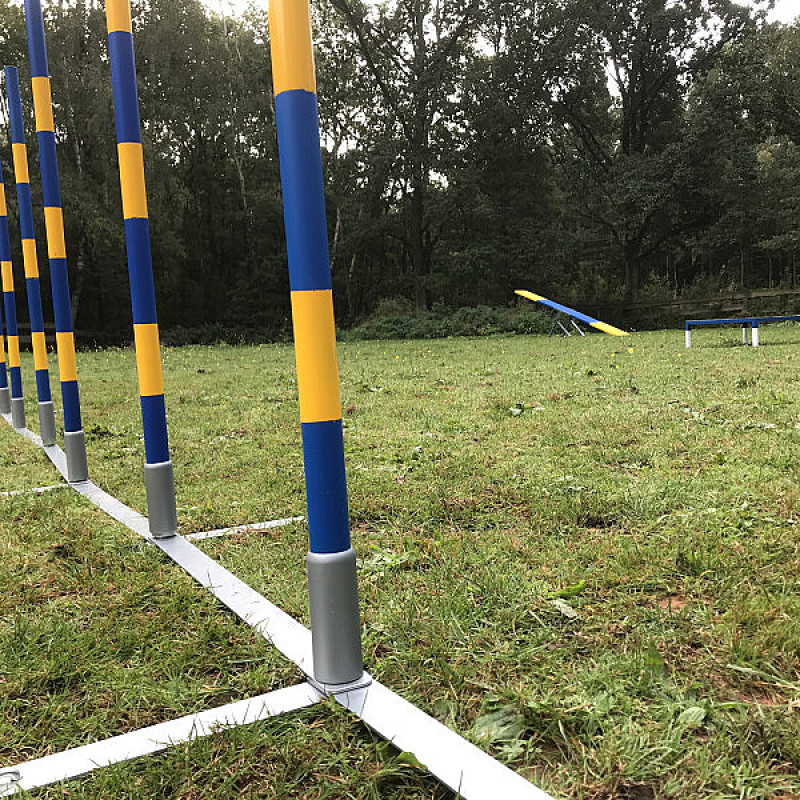 Agility Kurs
