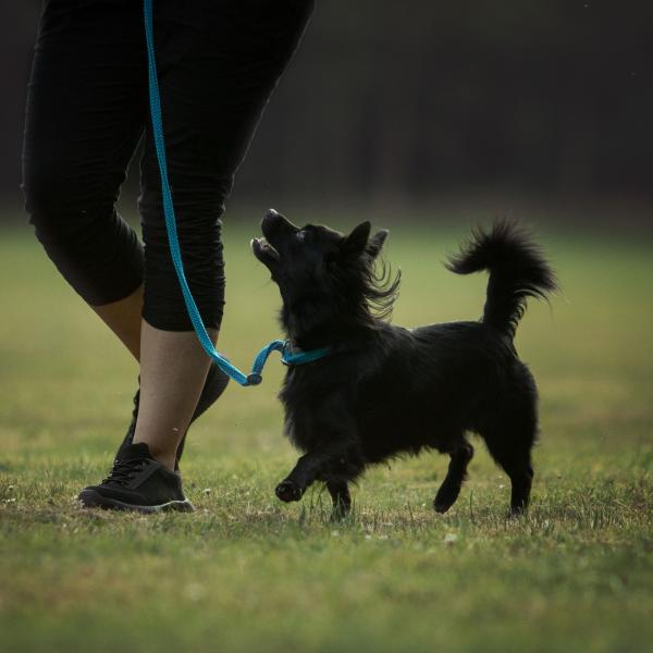 Nein - Aus -Pfui - Grenzen setzen? Dann aber verständlich!