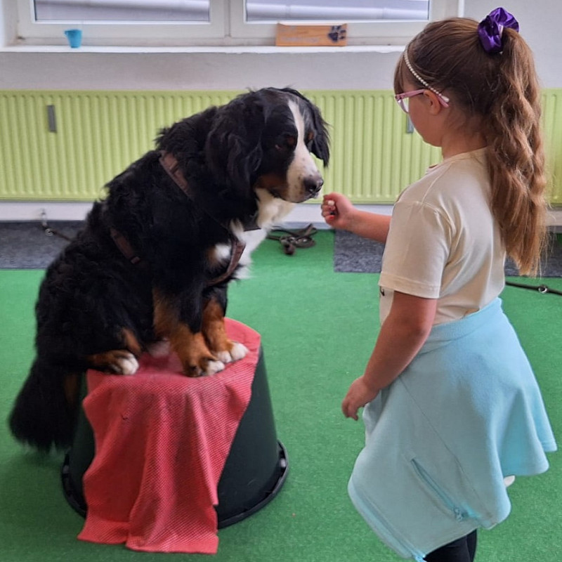 Kind und Hund