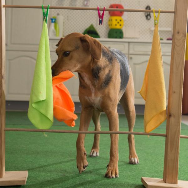 Freizeitmix Donnerstag 16:30 Uhr