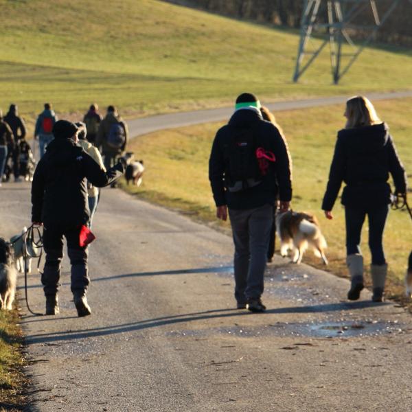 Vorbereitung Hundewanderung