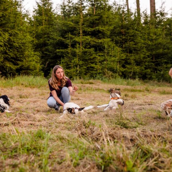 RAuszeit-Spaziergänge 2026