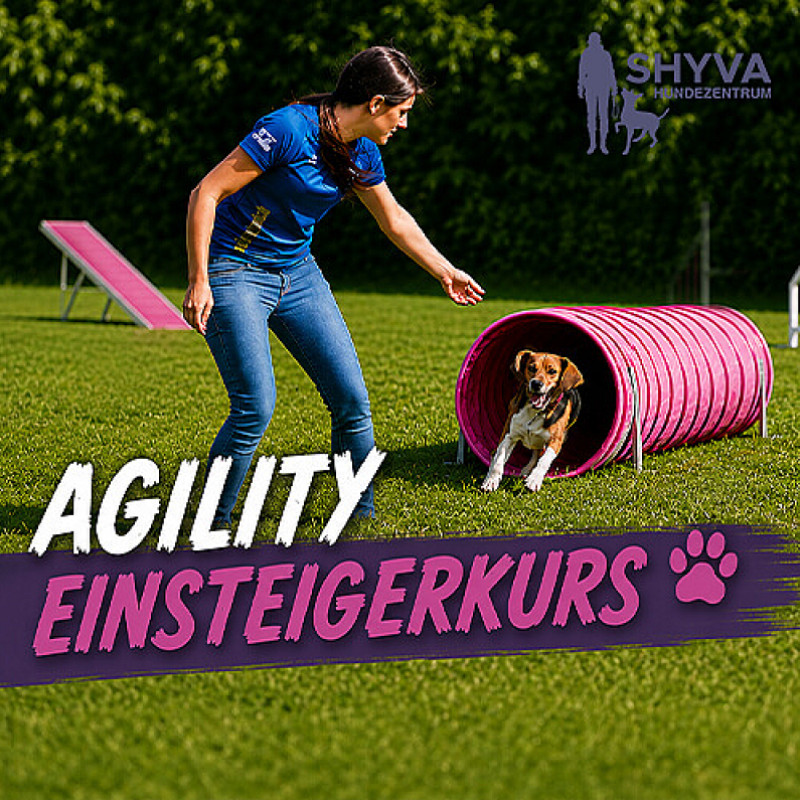 Agility  Aufbaugruppe - Henstedt-Ulzburg