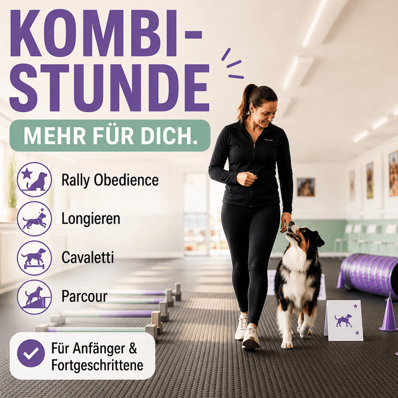 Kombi Stunde - mehr für Dich! - Wedel