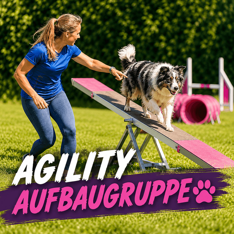 Agility  Aufbaugruppe - Henstedt-Ulzburg