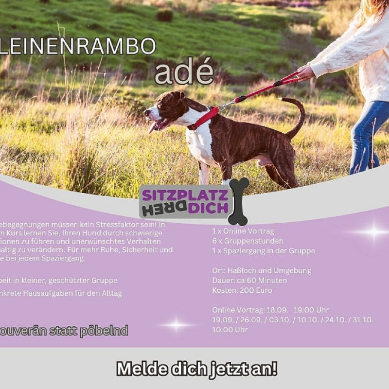 Leinenrambo adé