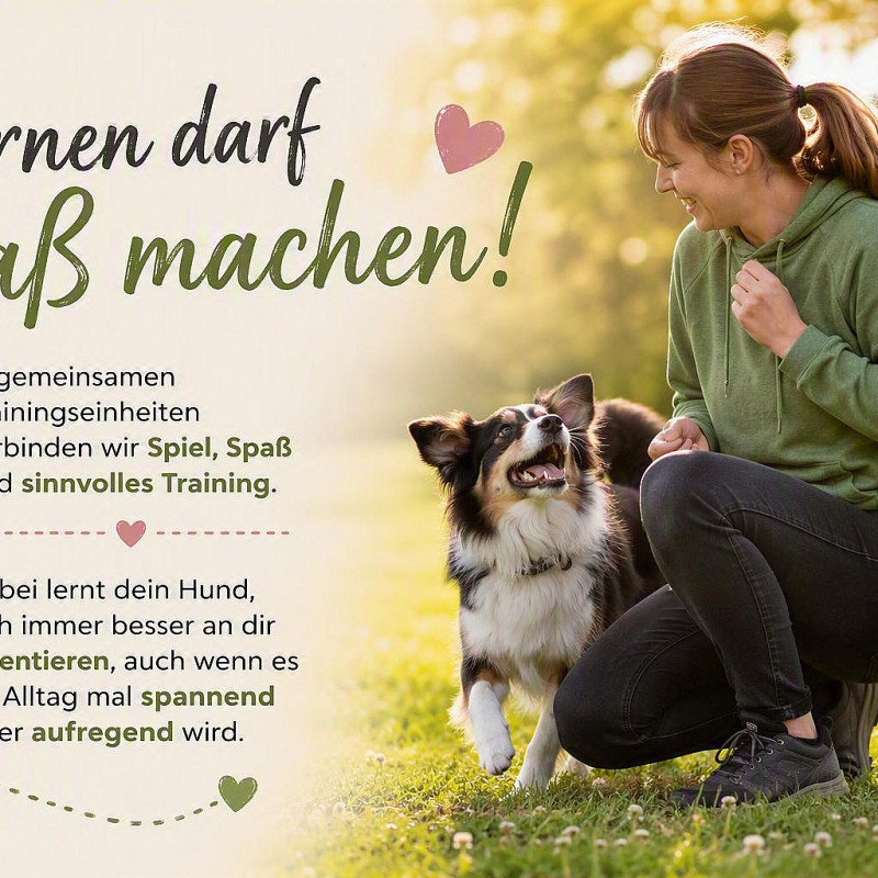 Spiel und Spaß Kurs  Stadt - Land - Hund