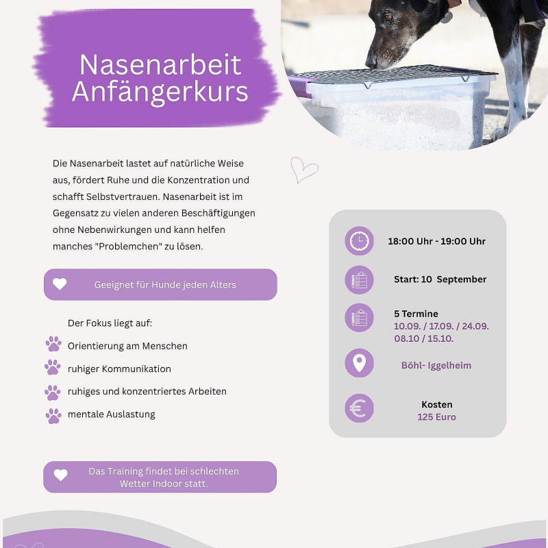 Schnüffelkurs Anfänger
