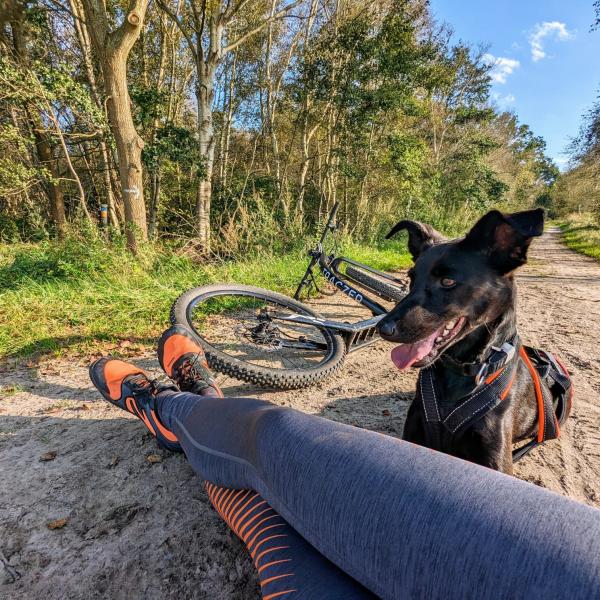 WARTELISTE Aufbau-Workshop Zughundesport Modul 2: Dogscooter/Bike