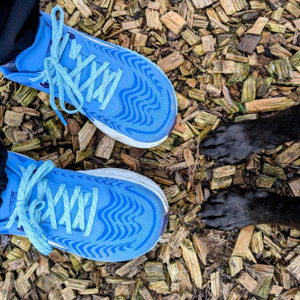 WARTELISTE Aufbau-Workshop Zughundesport Modul 1: CaniX