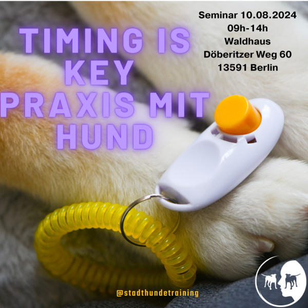 TIMING ist der Schlüssel