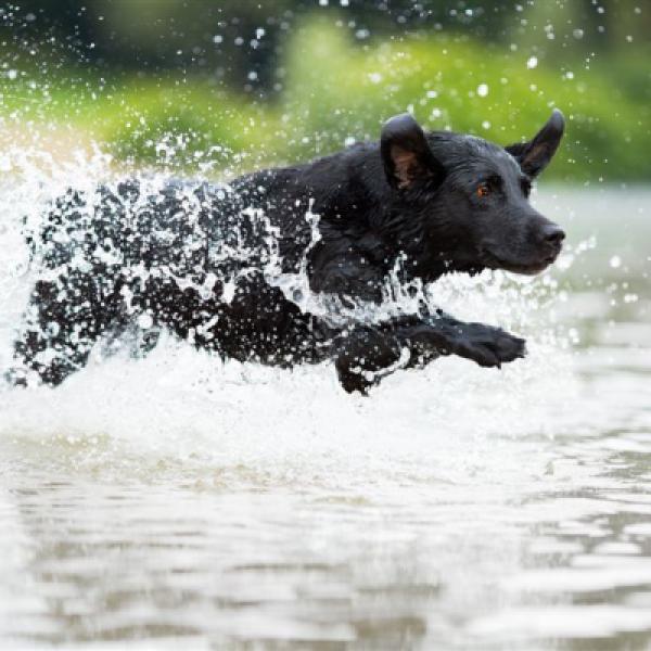Halbtagesseminar für Fortgeschrittene in Meckenheim