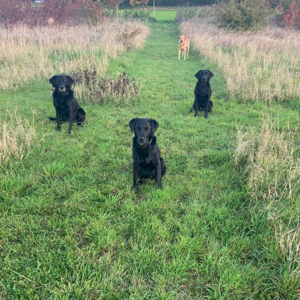 A-F Tagesseminar Meckenheim