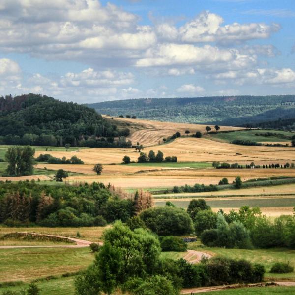 Tagesseminar Open Mammut Park