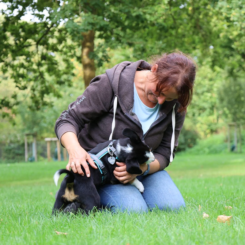 Welpen-Intensivkurs Nr 25